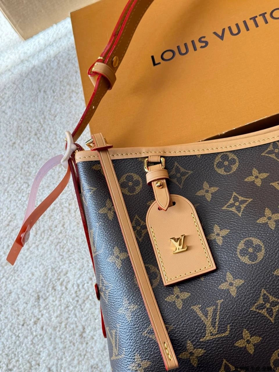 LV Carryall (Medium Size)