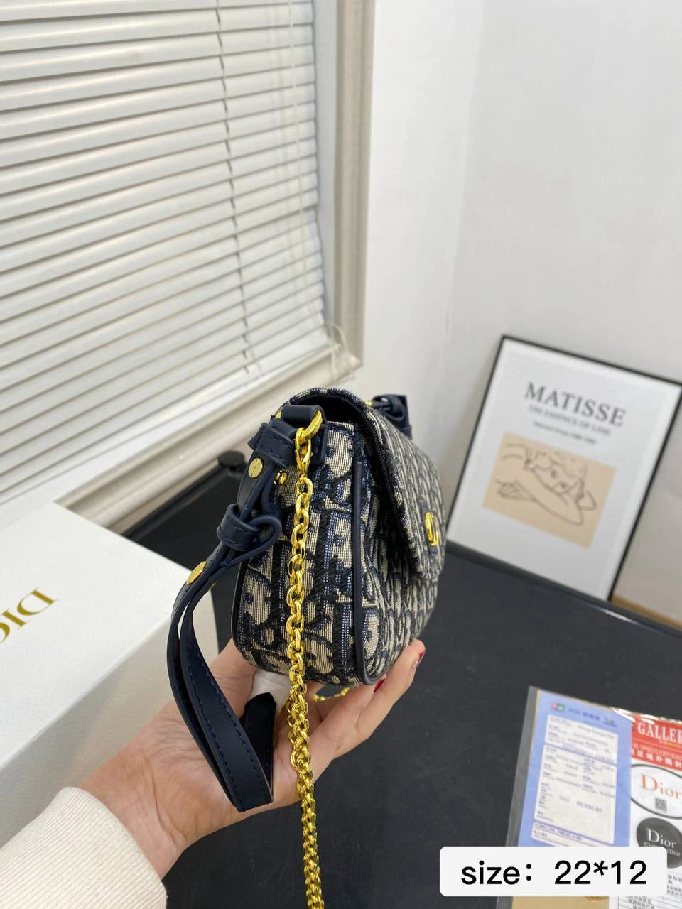 DIOR CD Caro Chain Bag – Montaigne Series