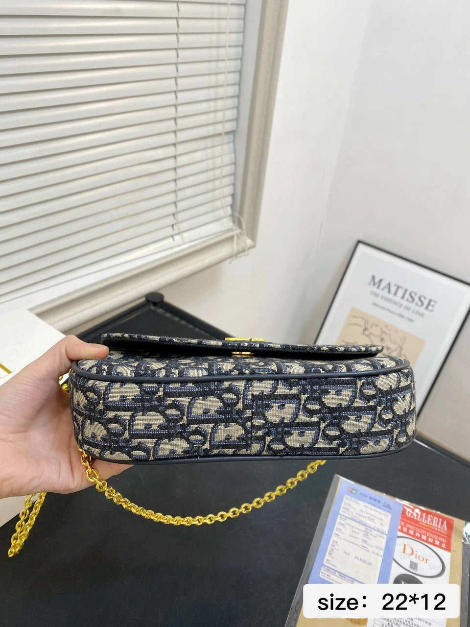 DIOR CD Caro Chain Bag – Montaigne Series